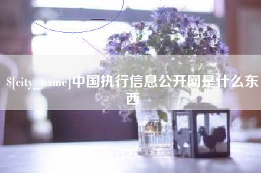 漳浦中国执行信息公开网是什么东西