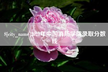 漳浦2021年中国消防学院录取分数线