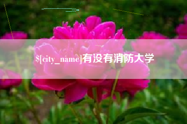 漳浦有没有消防大学