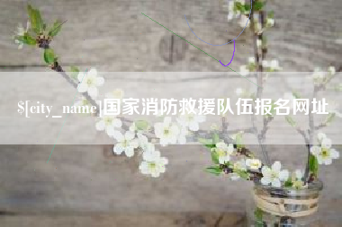 漳浦国家消防救援队伍报名网址