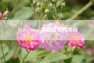 漳浦消控证官网查询