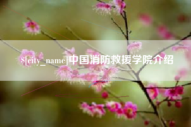 漳浦中国消防救援学院介绍