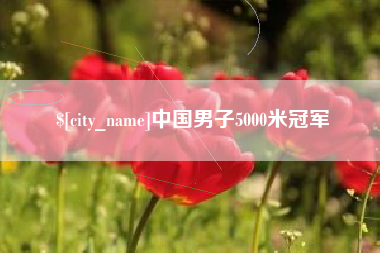 漳浦中国男子5000米冠军