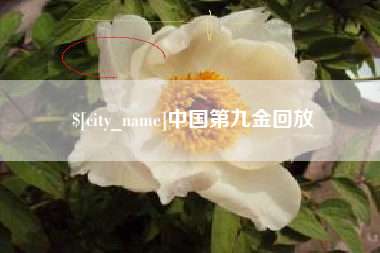 漳浦中国第九金回放