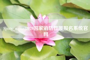 漳浦2020国家消防救援报名系统官网