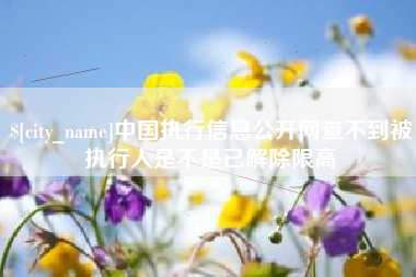 漳浦中国执行信息公开网查不到被执行人是不是已解除限高