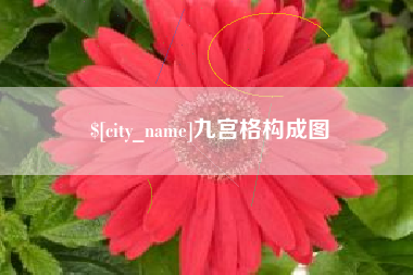 漳浦九宫格构成图