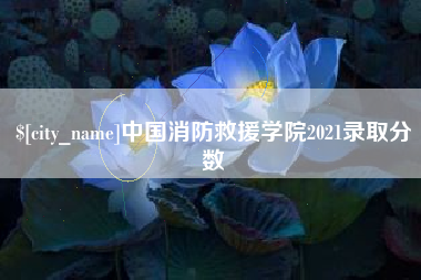 漳浦中国消防救援学院2021录取分数