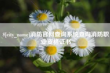 漳浦消防官网查询系统查询消防职业资格证书