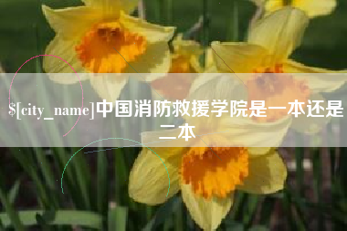 漳浦中国消防救援学院是一本还是二本