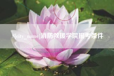 漳浦消防救援学院报考条件