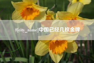 漳浦中国已经几枚金牌