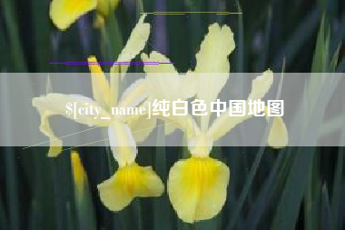 漳浦纯白色中国地图