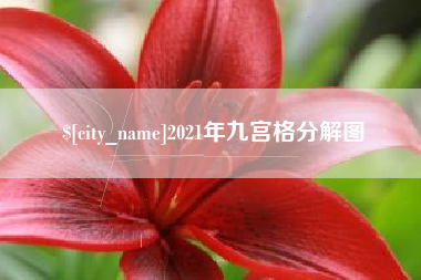 漳浦2021年九宫格分解图