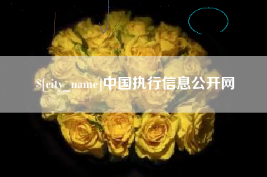 漳浦中国执行信息公开网