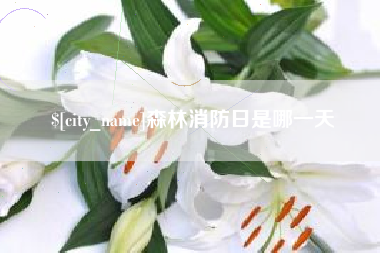 漳浦森林消防日是哪一天