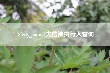 漳浦失信被执行人杳询