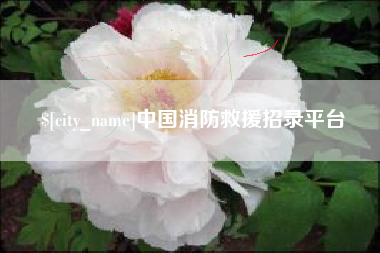 漳浦中国消防救援招录平台