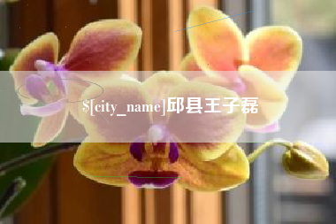 漳浦邱县王子磊
