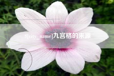 漳浦九宫格的来源