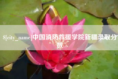 漳浦中国消防救援学院新疆录取分数