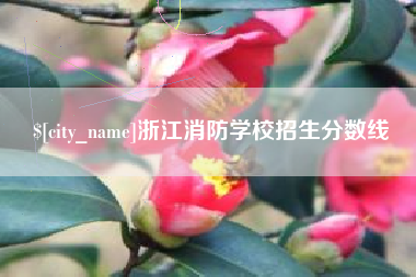 漳浦浙江消防学校招生分数线
