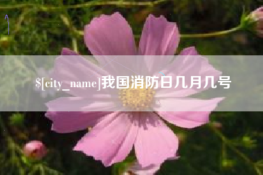 漳浦我国消防日几月几号