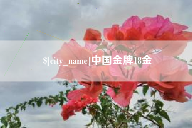 漳浦中国金牌18金