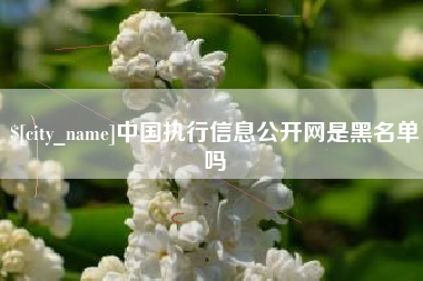 漳浦中国执行信息公开网是黑名单吗