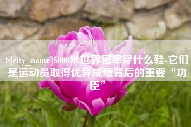 漳浦5000米世界冠军穿什么鞋-它们是运动员取得优异成绩背后的重要“功臣”