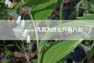 漳浦九宫为什么只有八卦