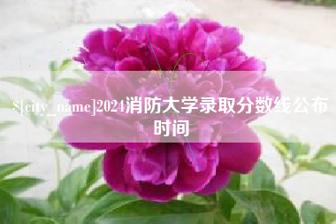 漳浦2024消防大学录取分数线公布时间