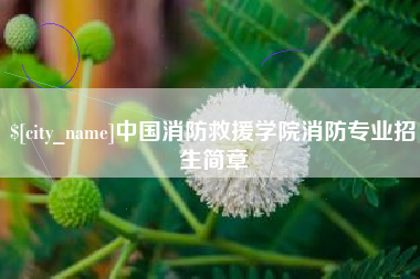 漳浦中国消防救援学院消防专业招生简章
