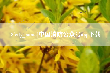 漳浦中国消防公众号app下载