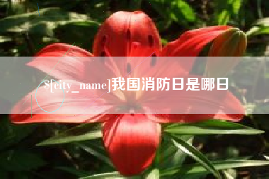 漳浦我国消防日是哪日