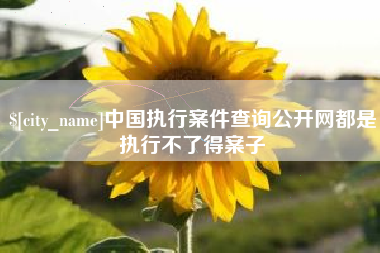 漳浦中国执行案件查询公开网都是执行不了得案子