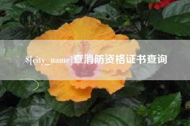 漳浦查消防资格证书查询