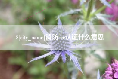 漳浦消防ccc认证什么意思