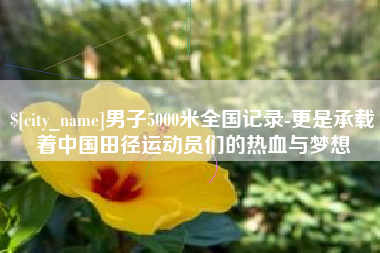 漳浦男子5000米全国记录-更是承载着中国田径运动员们的热血与梦想