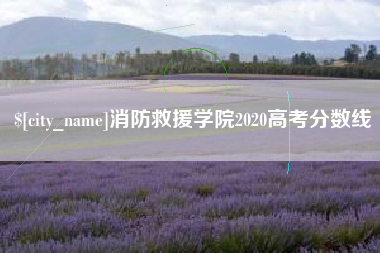 漳浦消防救援学院2020高考分数线