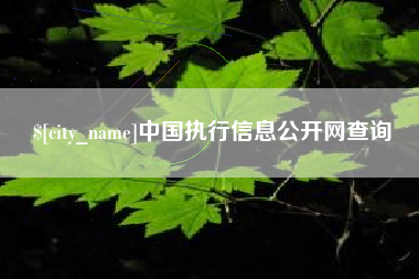 漳浦中国执行信息公开网查询