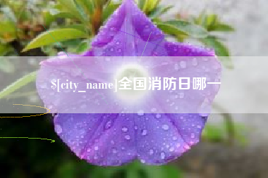 漳浦全国消防日哪一