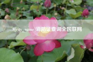 漳浦消防证查询全国联网
