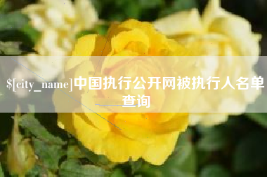漳浦中国执行公开网被执行人名单查询