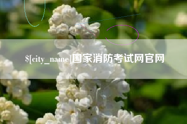 漳浦国家消防考试网官网