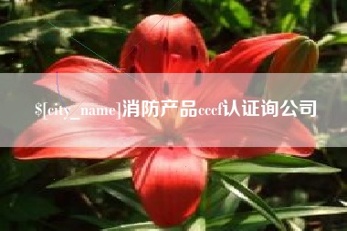 漳浦消防产品cccf认证询公司
