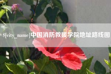 漳浦中国消防救援学院地址路线图