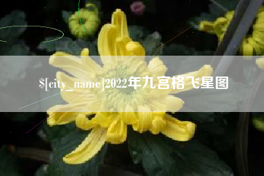 漳浦2022年九宫格飞星图