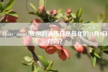漳浦我国的消防日是每年的11月9日对吗？