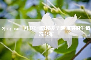 漳浦中国消防救援学院湖南招生情况公布
